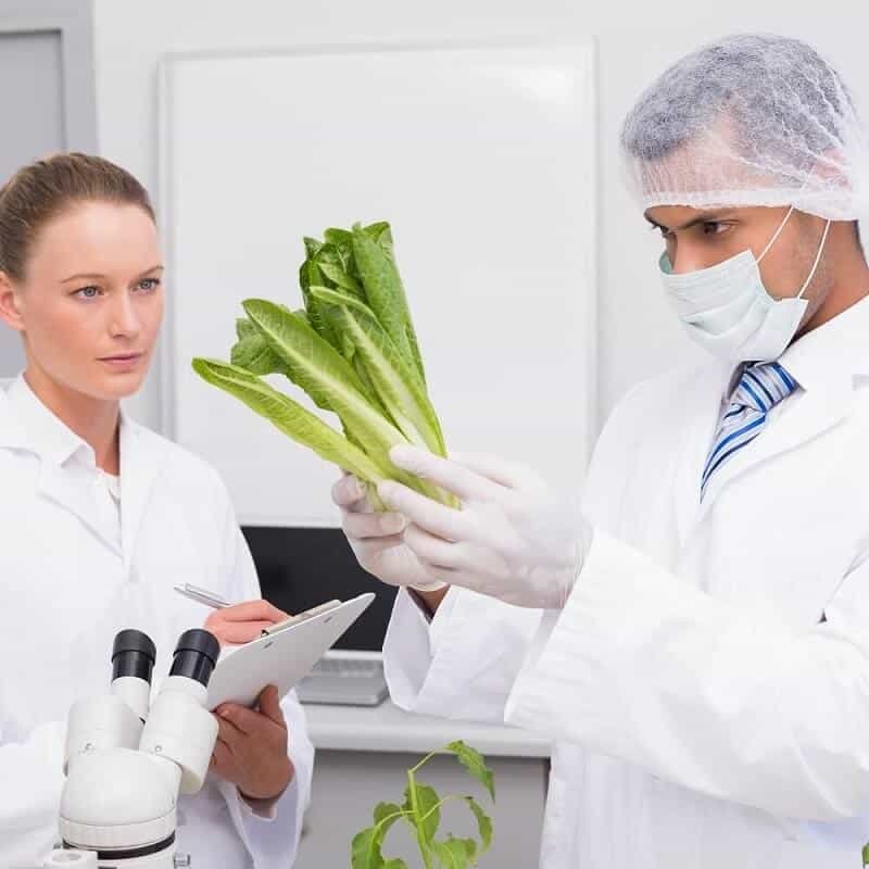 Ecotrado servicios mediambientales 4 Productos ecológicos certificados