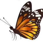 Ecotrado-Mariposa-monarca-ecologic